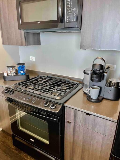 Penthouse In South Loop Chicago Leilighet Eksteriør bilde